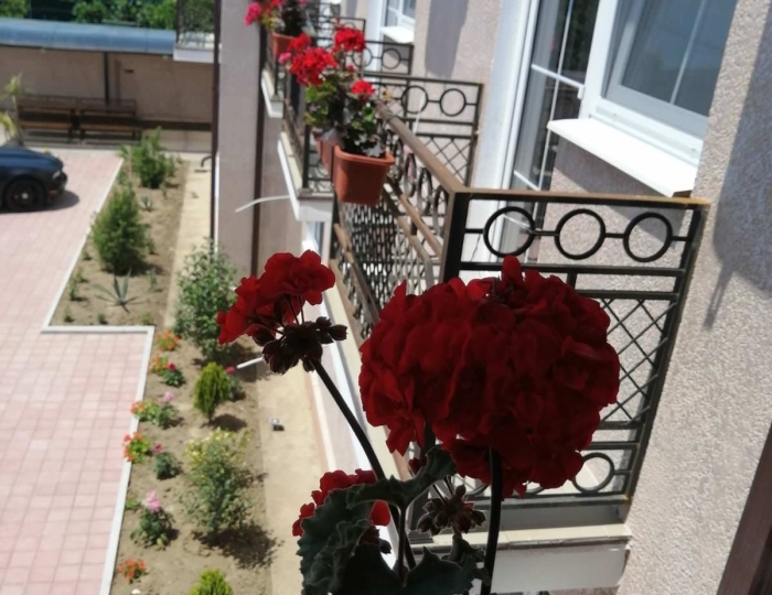 Стандарт 2-местный 2-комнатный стандарт с балк. - Отель «Аурус» Сухум